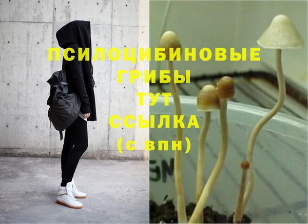 mix Армянск