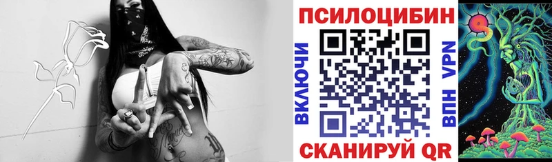 Галлюциногенные грибы GOLDEN TEACHER Армянск
